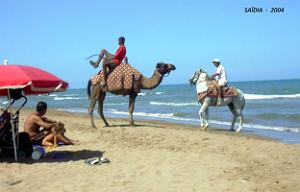 2004 09 SAIDIA FRONTIERE ALGERO MAROCAINE (26)